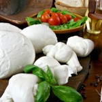 Italian Mozzarella